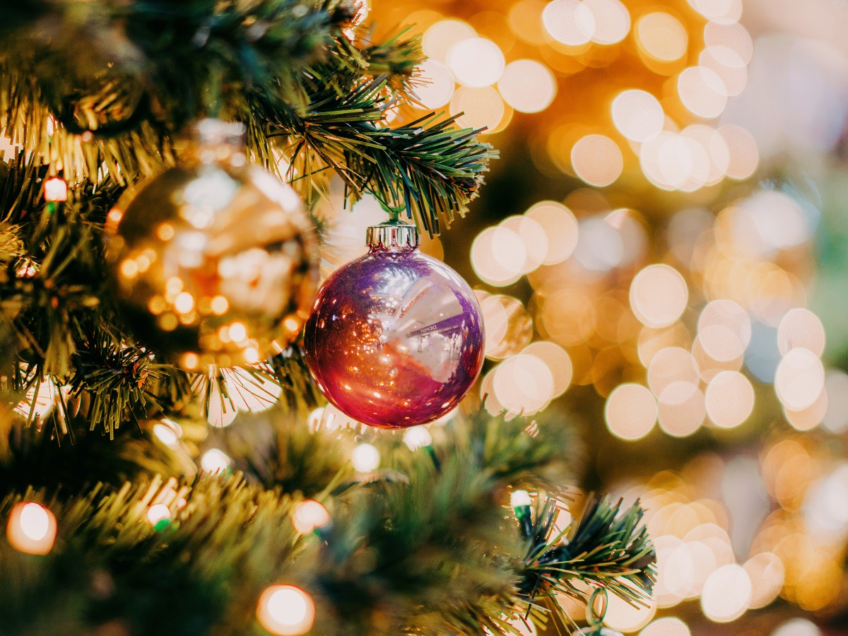 Christmas ornaments hanging from tree