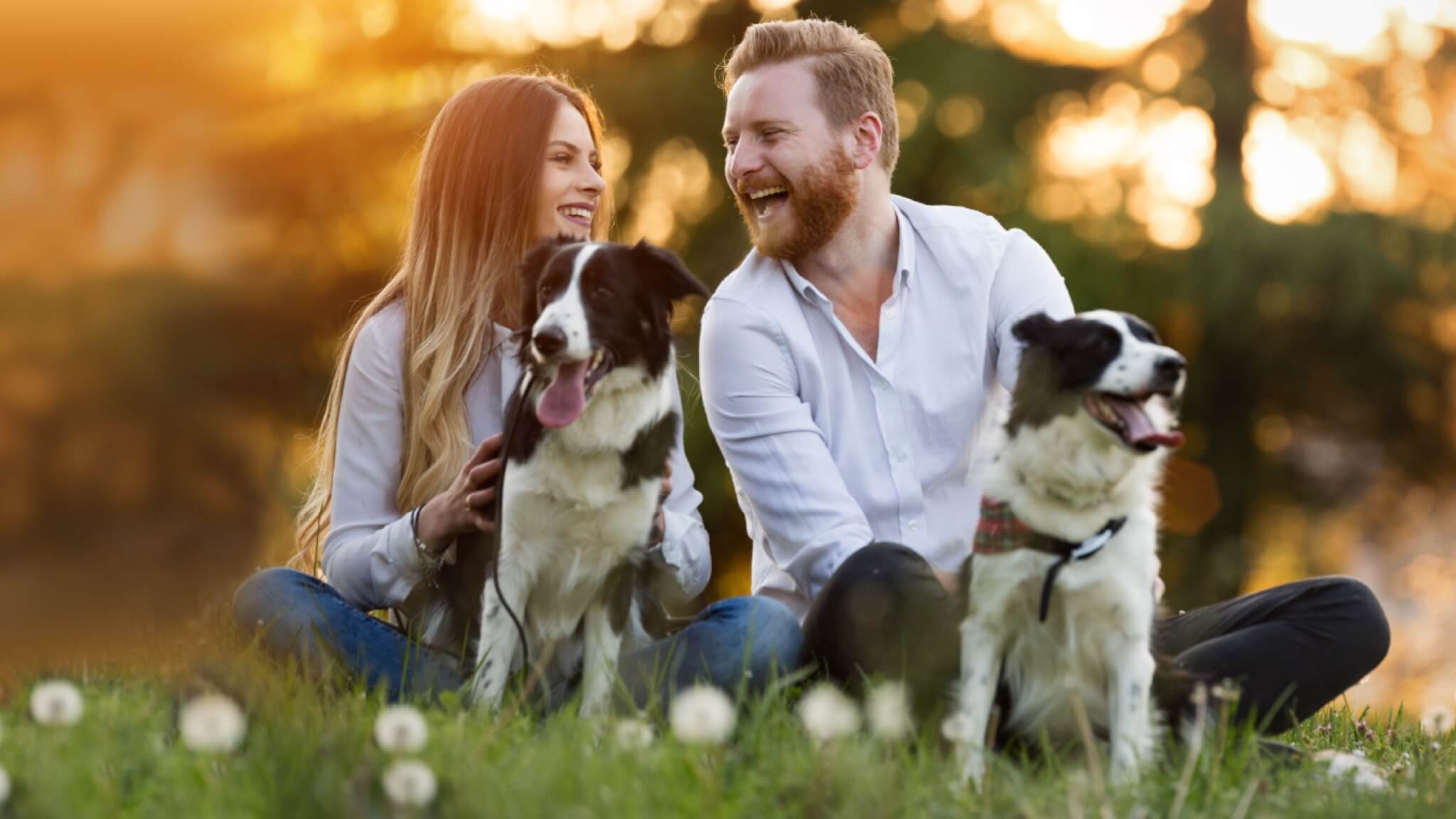 Young couple in park with pet dogs