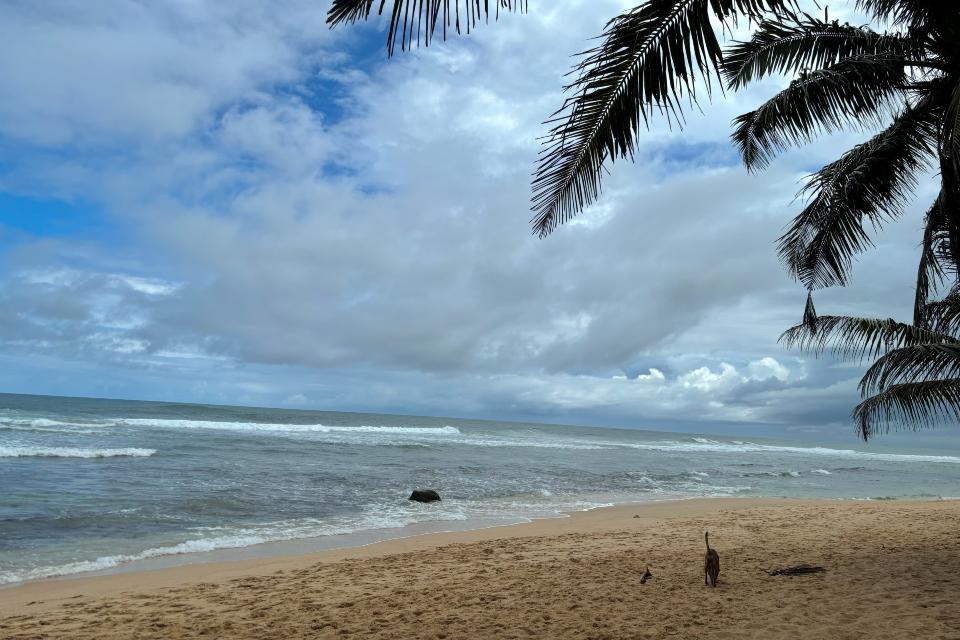 Beach view